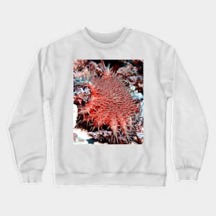 Crown of Thorns Starfish Crewneck Sweatshirt